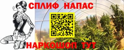 гашишное масло Камышлов