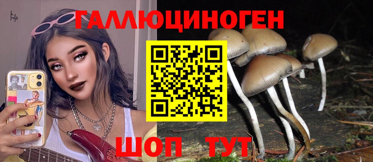 Галлюциногенные грибы прущие грибы Карабулак